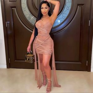 Womens Mesh Sexy Party Dress